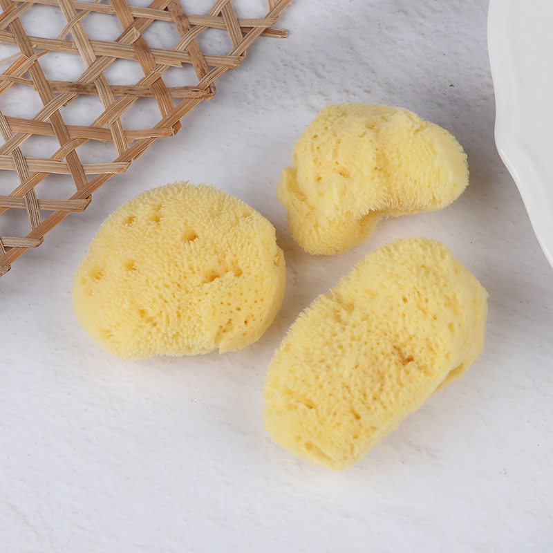أداة تنظيف إنتاج الملمس الخاص، - مراجعة Eco Sponge وسعره