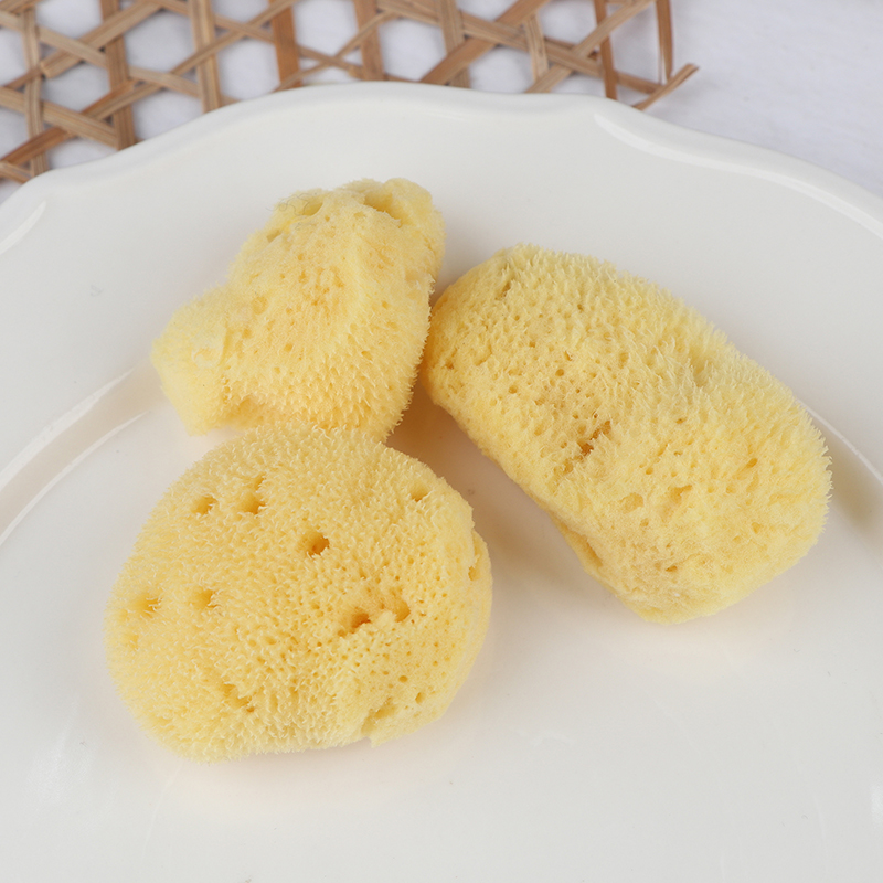 أداة تنظيف إنتاج الملمس الخاص، - مراجعة Eco Sponge وسعره