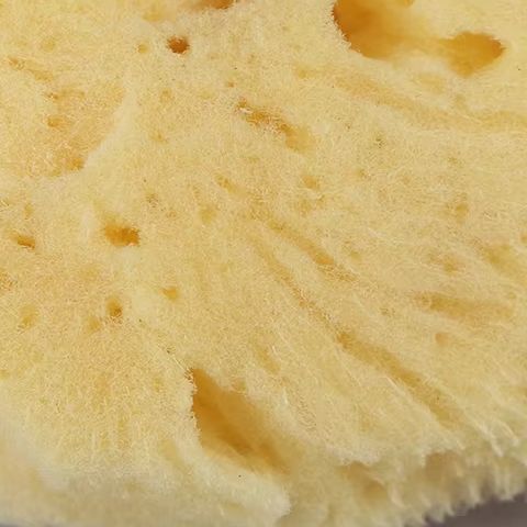 أداة تنظيف إنتاج الملمس الخاص، - مراجعة Eco Sponge وسعره