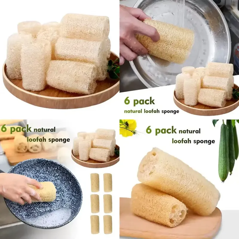 أحدث فرشاة غسيل الأطباق من الل - مراجعة Eco Sponge وسعره